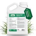 LQ Iron 12-0-0 Liquid Fertilizer for Rapid Green-Up &amp Chlorosis Correction - Perfect Nitrogen Fertilizer with 6% Iron 2% Manganese &amp Low pH for Turf Trees &amp Ornamentals - 1 Gallon