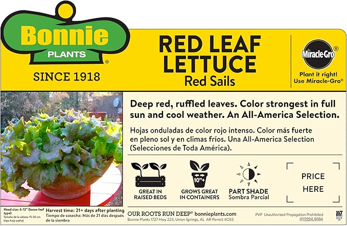 Bonnie Plants Red Lettuce 19.3 oz. 4-pack