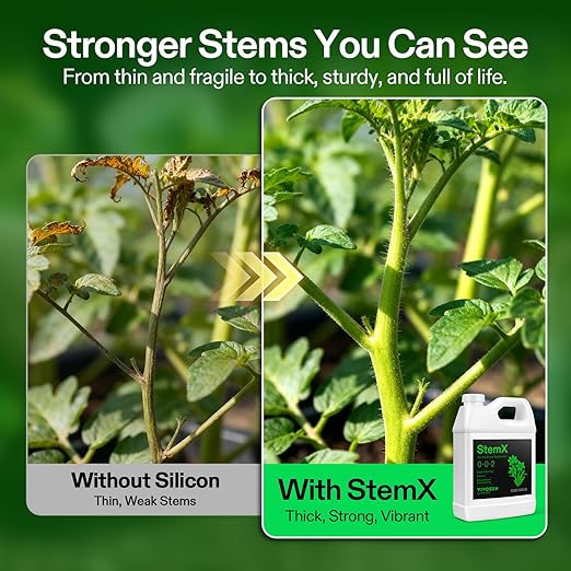 VIVOSUN StemX (0-0-2) Silica for Plants Soluble Liquid Silicon Plant Supplement Fertilizer Nutrient Solution for Strong Stems and Healthy Leaves Boost Resilience pH Balance 32 oz