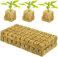 100Pcs Hydroponic Plant Starter Cubes for Soilless Cultivation Nutrition Cubes Cuttings for Indoor Garden Systems