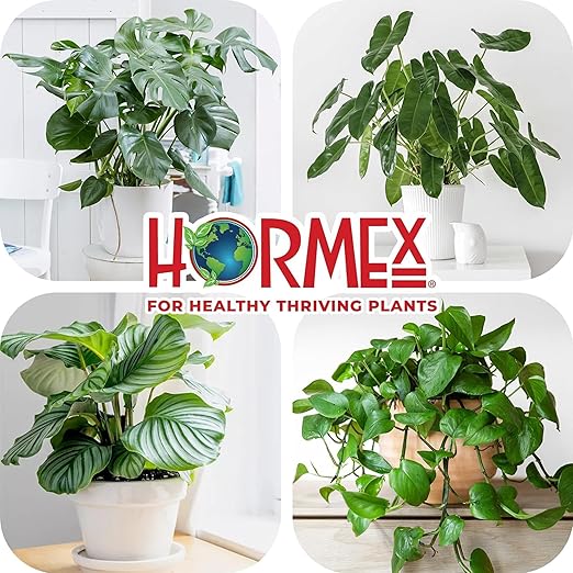 Hormex Rooting Powder #8 &amp Vitamin B1 Hormone Concentrate Combo - Root Stimulator for Semi-Hardwood Cuttings &amp Liquid - Perfect for Hydroponics House Plants Gardens Fruits &amp Vegetables