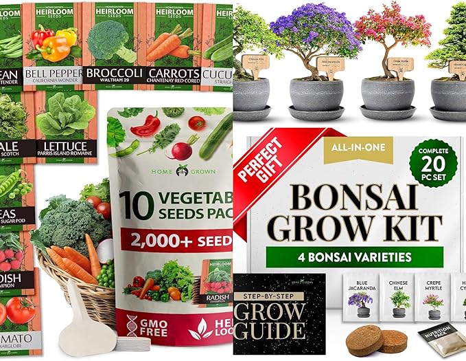 2000+ Vegetable Seeds for Planting - HOME GROWN Bonsai Tree Kit – Easy to Grow 4 Species of Bonsai