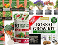 2000+ Vegetable Seeds for Planting - HOME GROWN Bonsai Tree Kit – Easy to Grow 4 Species of Bonsai