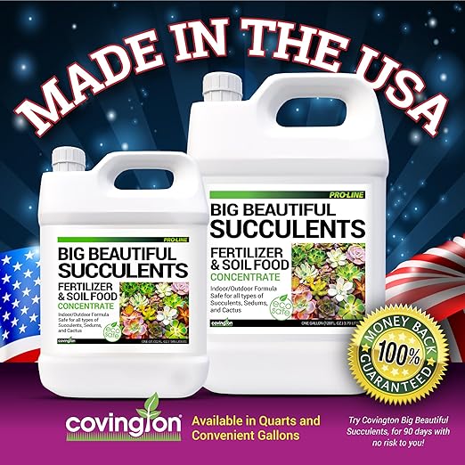 Covington Succulent Fertilizer Liquid (1 Gallon) – Cactus &amp Succulent Plant Food for Indoor and Outdoor Use – Slow Release Liquid Fertilizer for Houseplants – Made in USA