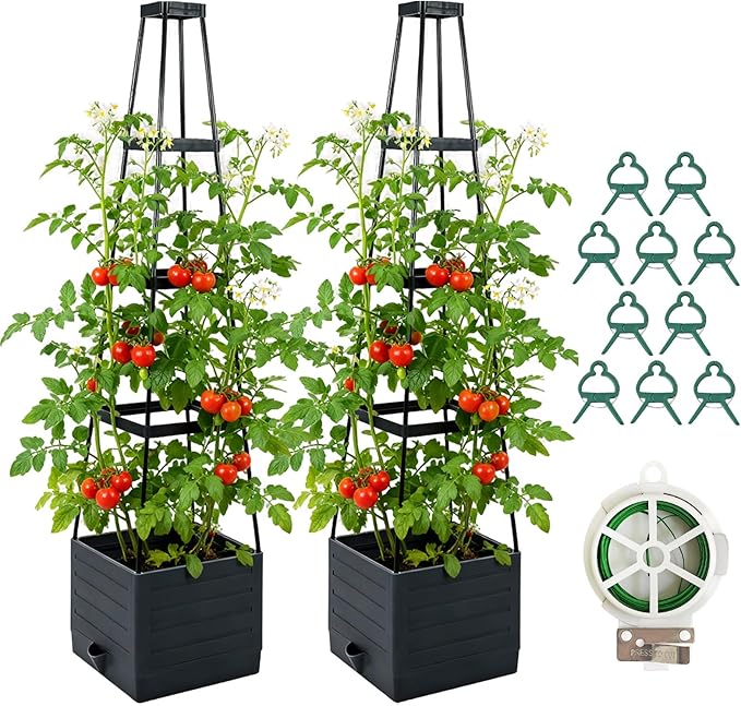 2 Pack Raised Garden Bed Planter Box with Trellis 57'' Self Watering Tomato Planters for Climbing Plants Tomato Cage Trellis for Vegetables &amp Vine Flowers Indoor Outdoor Patio