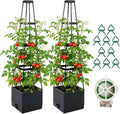 2 Pack Raised Garden Bed Planter Box with Trellis 57'' Self Watering Tomato Planters for Climbing Plants Tomato Cage Trellis for Vegetables &amp Vine Flowers Indoor Outdoor Patio