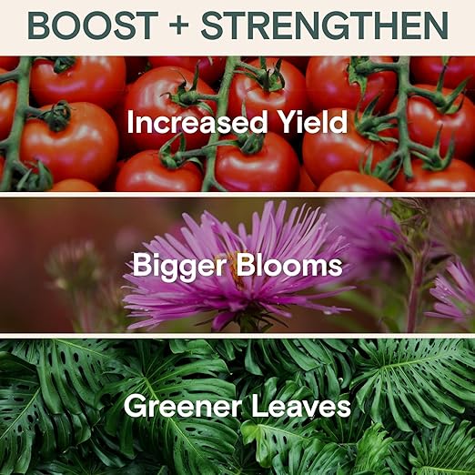 Arber Bio Protectant | Organic Outdoor Plant Fungicide and Root Stimulate Liquid Concentrate | Natural Bloom Boosting Growth Gardening Solution | Control Mildew Mold Spots | Make Over 16 Gallons