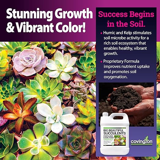 Covington Succulent Fertilizer Liquid (32oz) – Cactus &amp Succulent Plant Food for Indoor and Outdoor Use – Slow Release Liquid Fertilizer for Houseplants – Made in USA