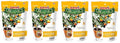 Jobe’s Organics Fruit &amp Citrus Tree Fertilizer Spikes 3-5-5 Time Release Fertilizer for All Container or Indoor Fruit Trees 6 Spikes per Package (4)