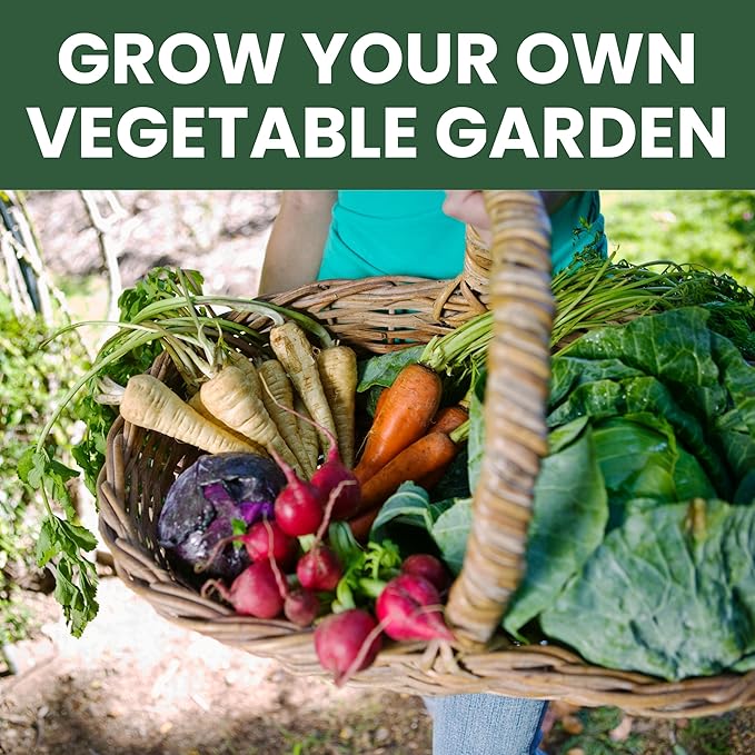 Fall &amp Winter Seed Variety Pack | 30 Invidiual Packs | 2026 Season | Non-GMO | Beets Arugula Carrots Lettuce &amp More! | for Planting Indoor &amp Outdoor | by Family Sown