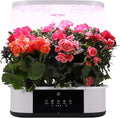 Litake 12 Pods Hydroponics Growing System Indoor Garden with 3 Planting Modes Up to 16 120 LED Light Fixed Hook Timer Silent Pump System for Home Kitchen Gardening GS1 Mini