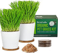 The Cat Ladies Cat Grass Growing kit with Organic Cat Grass Seed Soil and Two Ceramic Planters with Bamboo Trays Natural Hairball Remedy