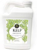 Kelp Liquid Fertilizer 2.5-Gallon Bottle