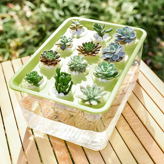 Aquaponics Growing System Hydroponic Planter Box 12-Hole Transparent Aquaponics Growing System with Green Lid for Home Balcony or Desktop Decor