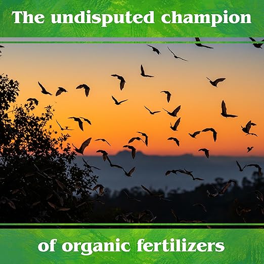 Down To Earth All Natural Fertilizers Organic Bat Guano - High Nitrogen Plant Food for Vegetative Growth 7-3-1 10 lb