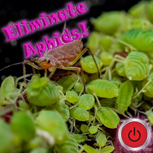 RAW Mighty 5 Gallon by NPK Industries Plant Care Bug mite Garden pest Spray