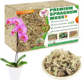 Legigo 2.2LBS Premium Sphagnum Moss for Plants- 40QT Natural Succulent Carnivorous Plant Moss Dried Long Fiber Orchid Moss for Orchid Repotting Succulent Sarracenia Potted Plants Gardening &amp Rept