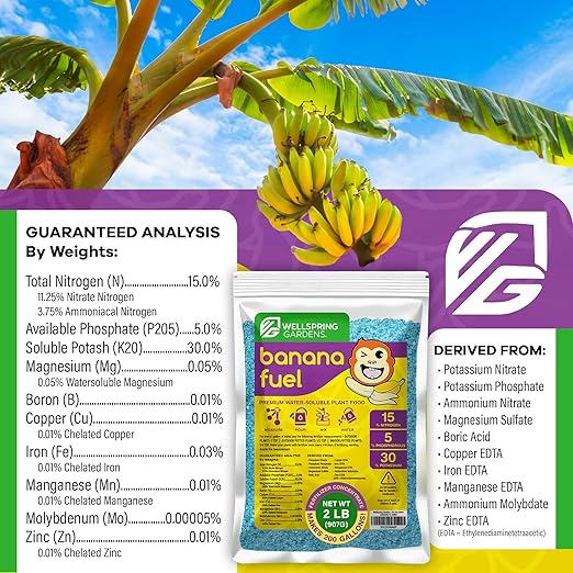 Wellspring Gardens Banana Fuel Fertilizer - Water-Soluble 15-5-30 Blend - Fertilizer for Banana Trees &amp Plants - Grow Healthy Plants (2 Pounds)