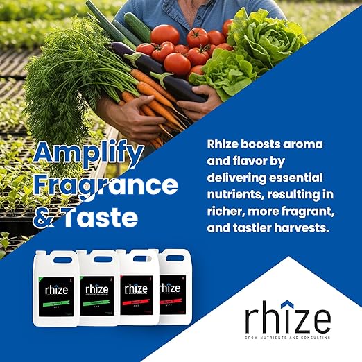 4L Vegetative Nutrient Set 2-Part Grow Nutrient Formulation Yield Increasing Plant Nutrient Kit Perfectly Balanced Formulation That Doesn't Need Calmag or Bud Boosters Easy to Use Plant Food (4L)