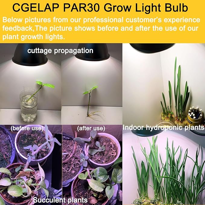PAR30 LED Grow Light Bulb for Indoor/Outdoor Plants Full Spectrum 15 Watt (150W Equivalent)4000K Color Temperature Natural Light E26 BaseIP65 Waterproof 2 Pack