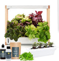Rise Gardens Personal Rise Garden Hydroponic Indoor Garden Kit with LED Grow Light Countertop Size