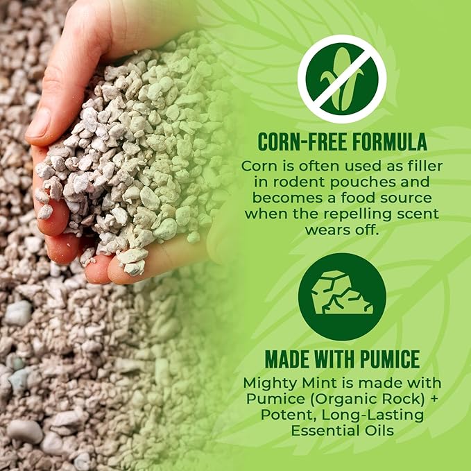 Mighty Mint Mouse Repellent Pouches – Peppermint Castor Oil &amp Cinnamon Formula – Natural Indoor Deterrent for Mice and Rodents – Plant-Based Long-Lasting Protection – 12 Count