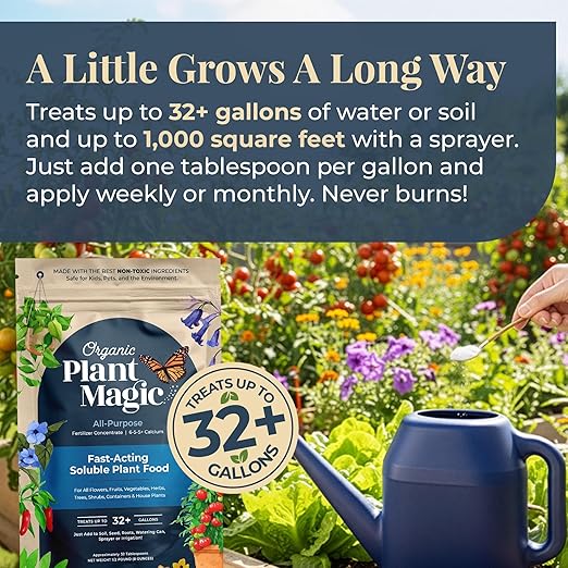 Organic Plant Magic - Fast-Acting Water Soluble Plant Food - All-Purpose Fertilizer Concentrate for Flower Vegetable Herb Fruit Tree Garden &amp Indoor Houseplants [One 1/2 lb Bag]