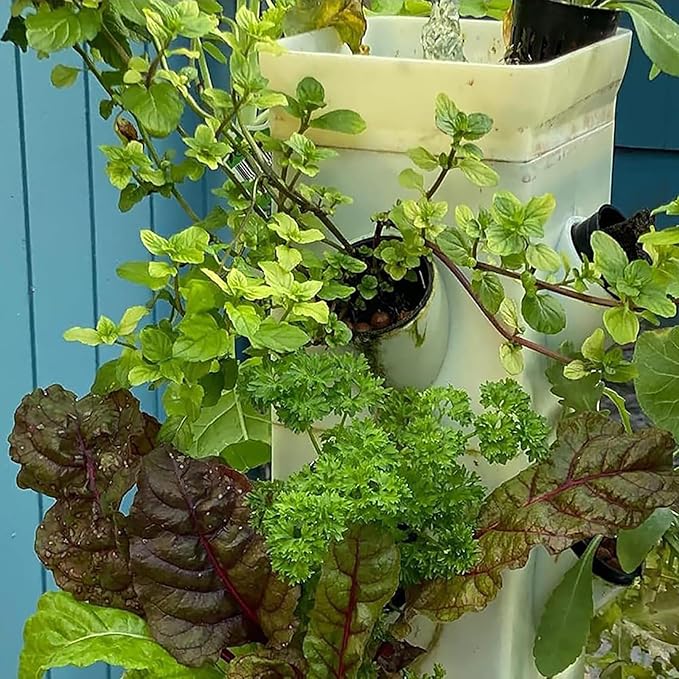 Hydroponics Growing System 24 Pods Vertical Hydroponic Tower with Smart Timer Net Pots Water Pump Adapter for Herbs Vegetables Flowers