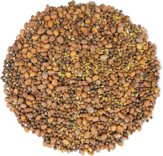 Food to Live - Spicy Mix of Sprouting Seeds 2.5 Pounds - Broccoli Radish Alfalfa Kosher Raw