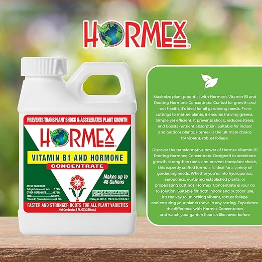 Hormex Rooting Powder #8 &amp Vitamin B1 Hormone Concentrate Combo - Root Stimulator for Semi-Hardwood Cuttings &amp Liquid - Perfect for Hydroponics House Plants Gardens Fruits &amp Vegetables