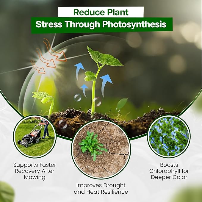 Five Star Turf Liquid Potassium Fertilizer 0-0-25 KTS for Stress Tolerance Foliar &amp Root Uptake - No Chlorides Low Salt Index with Fast-Acting Potassium for Turf Lawns &amp Sports Fields - 2.5