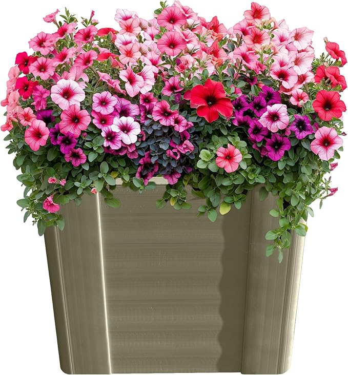 Raised Garden Bed - 1x1 ft Planter Box - Weathered Wood HDPE - No Tools Needed - DIY Kit for Urban Gardening Flowers Herbs &amp Vegetables - Made in The USA - 2 Pack