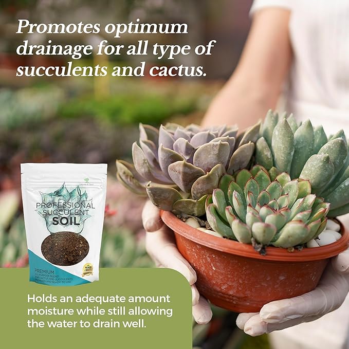 Extra Large 8.2 QT Bag Succulent Soil Premium All Purpose Blend | Pre-Mixed Ready to Use for Cactus and Succulents | Canadian Peat Course Sand Pinebark | Made in USA