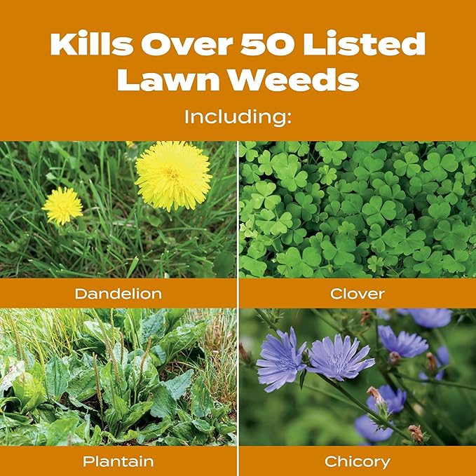 Scotts Turf Builder WinterGuard Fall Weed &amp Feed5 Weed Killer Plus Fall Fertilizer 4000 sq. ft. 11.28 lbs.