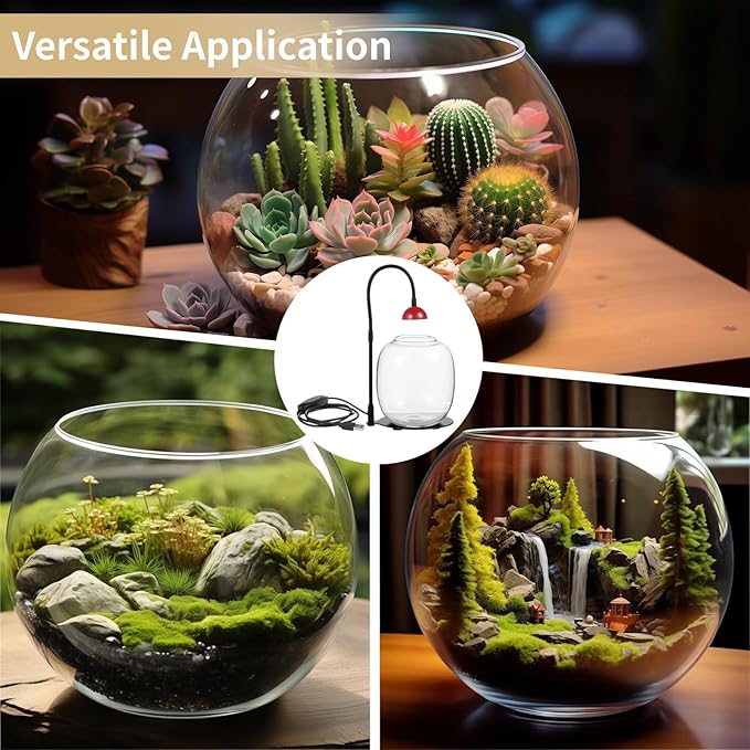 Succulent &amp Moss Glass Vase With Adjustable Led Light Usb-Powered Desktop Plant Grow Light For Home Or Office
