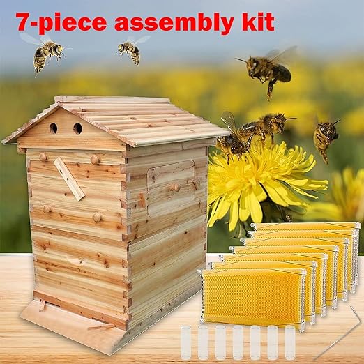 Continuous Flow Honeycomb Kit with Observation Window and Honey Extraction Port Integrated Honey Collection System Beehive-Style Box with 7 Honeycomb Cells Suitable for Beginners and Experts