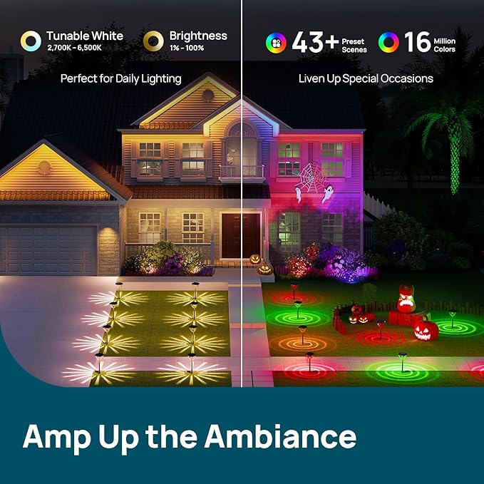 Linkind StarRayS with Smart Solar Pathway Lights SP6