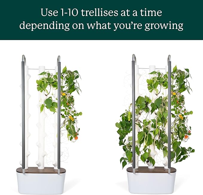 Gardyn Trellis Hydroponics Growing System Accessory That Supports Vining Indoor Plants – 10 Pack (for use with All Gardyn Vertical Indoor Garden Hydroponics Growing Systems and Tower Gardens)