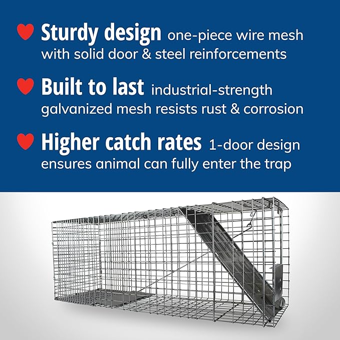 HAVAHART 1079SR Large 1-Door Humane Catch and Release Live Animal Trap Cage - Live Raccoon Trap for Bobcats Beavers Dogs &amp More