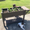 GUTINNEEN Raised Garden Bed Mobile Outdoor Planter Box with Legs for Vegetables Flower Herb Large Storage Garden Box on Wheels