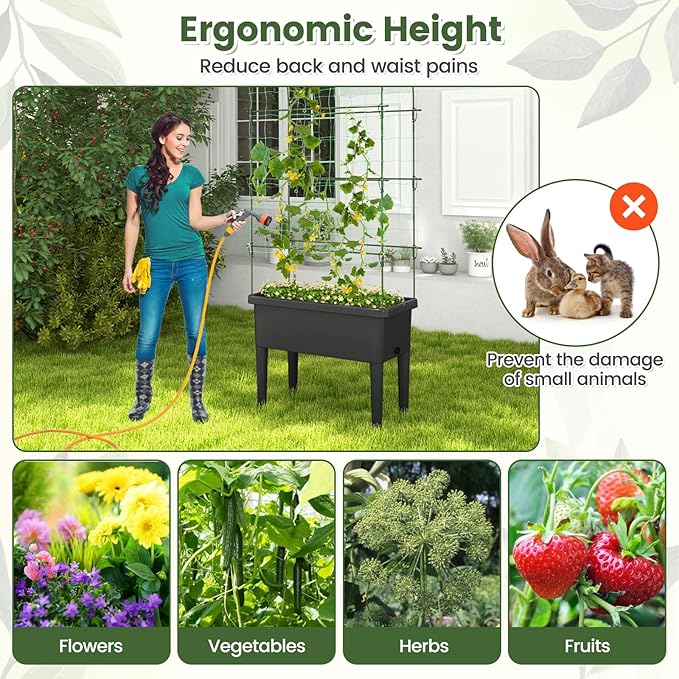 Giantex Raised Garden Bed with Climbing Trellis Self-Watering Elevated Planter Water Level Indicator &amp Drainage Hole Plant Raised Bed for Cucumber Vegetables Fruits Herbs