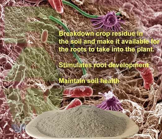 RAW Microbes Grow 10lb - Plant Growth Enhancer with Endomycorrhizae and Rhizosphere Bacteria