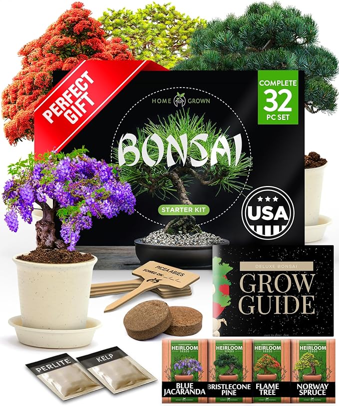 2000+ Vegetable Seeds for Planting - Bonsai Tree Kit - Gifts for Men &amp Women