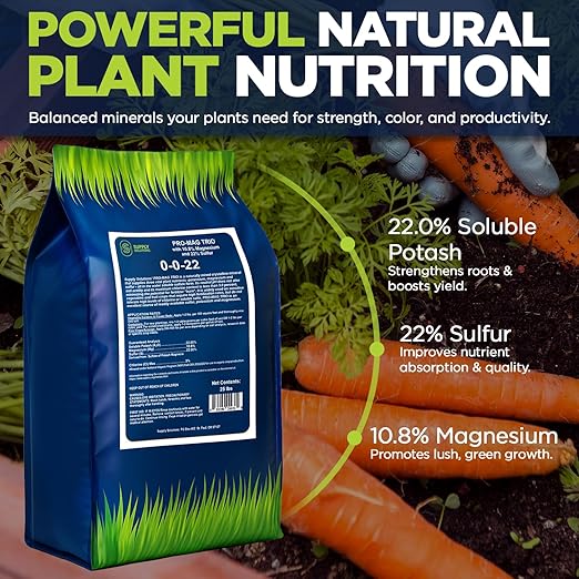Supply Solutions | 0-0-22 Pro-Mag Trio - High Potassium Magnesium &amp Sulfur Fertilizer for Lawns Turf Palm &amp Fruit Trees - Water-Soluble Plant Food for Stronger Growth &amp Higher Yields (2