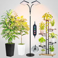 2026 2Head Full Spectrum Floor Lamp Grow Light 50 Watt Bright Grow Lights for Indoor Tall Plants Bonsai Tree Auto On/Off Daily Timer(4/8/12/16/20H) Adjustable Stand 24-78
