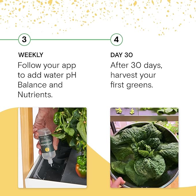Rise Gardens 1 Level Garden | Hydroponics Growing System Wi-Fi &amp App Controlled Indoor Garden with Growing Lights &amp Self-Watering System | Cloud