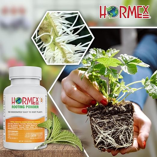 Hormex Rooting Hormone Powder #3 (0.30% IBA) for Common Houseplants Flowers &amp Garden Varieties - Starter Strength Root Stimulator &amp Growth Hormone for Plant Cuttings Cloning &amp Propagati
