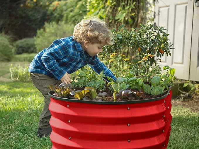 Plant &amp Plot Galvanized Raised Garden Beds Outdoor // 4×2×1 ft Planter Raised Beds for Gardening Vegetables Flowers // Large Metal Garden Box (Red)