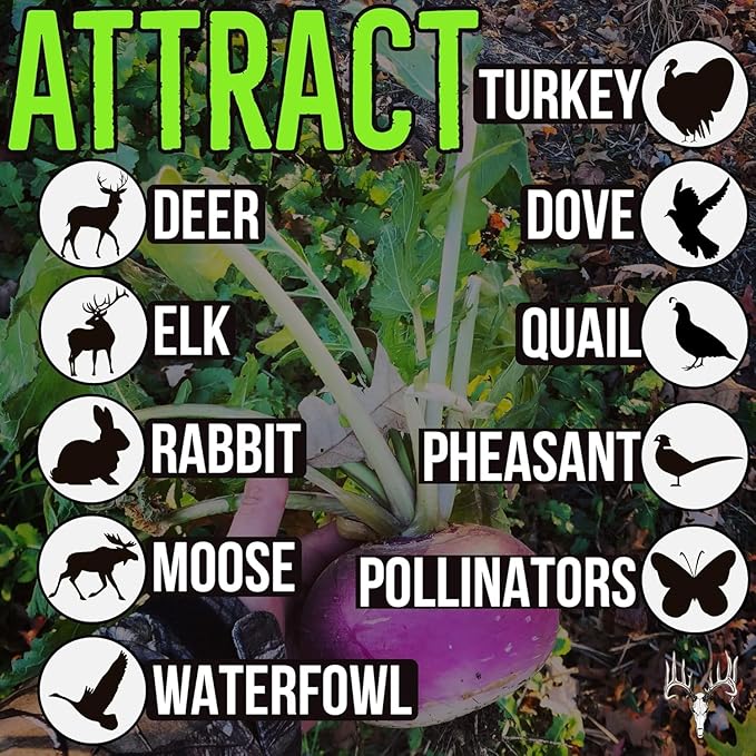 Crooked Bend Branson's Buffalo Blend 50LB Bulk Whitetail Food Plot Seed for Deer Turkey Pheasant Dove Elk &amp Duck Plant Seeds Grow Forage to Feed &amp Attract Wildlife to Hunting Plots No