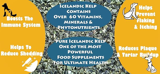 Icelandic Kelp Meal - Loaded with Nutrients That Support Your Livestock Or Pet &amp A Natural Seaweed Fertilizer for Plants 12.5lbs